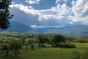 Ampia Tenuta Agricola in Abruzzo