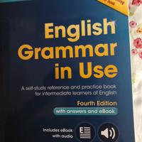 English Grammar in Use