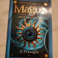 Romanzo la vita di Nostradamus 