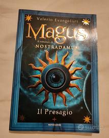 Romanzo la vita di Nostradamus 