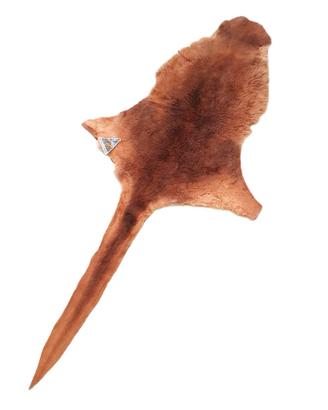 Tappeto in pelle di canguro 147cm Australiano!