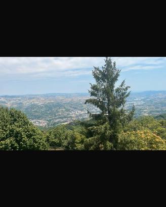 Si affitta per il mese di agosto e di settembre