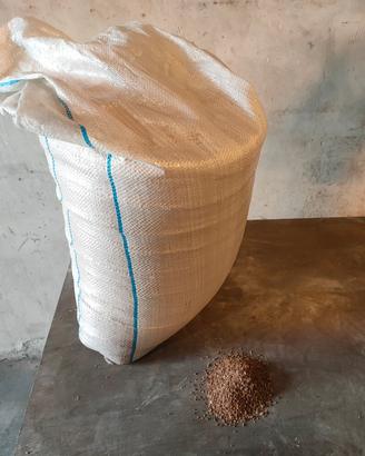 Nocciolino di oliva per stufe