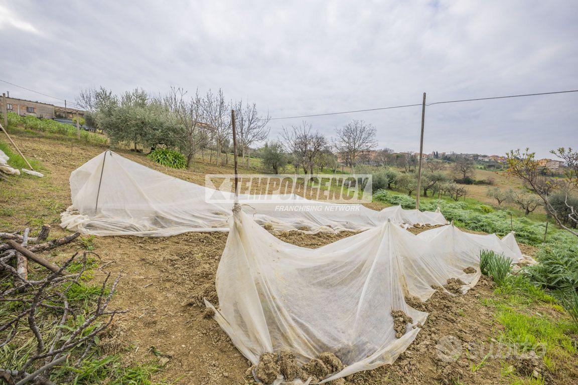 Terreno residenziale a Monte San Giusto 1 locali - Altro