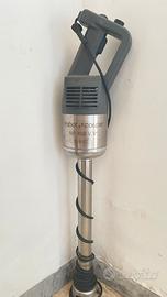 Frullatore mixer ad immersione professionale