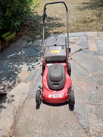 taglia prato eletrica