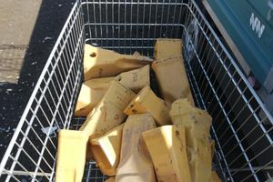 Denti / capsule catetpillar