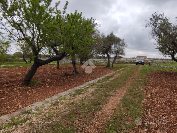 TER. AGRICOLO A GIOIA DEL COLLE