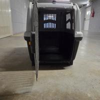kennel per cani taglia media