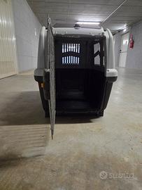 kennel per cani taglia media