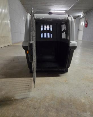 kennel per cani taglia media