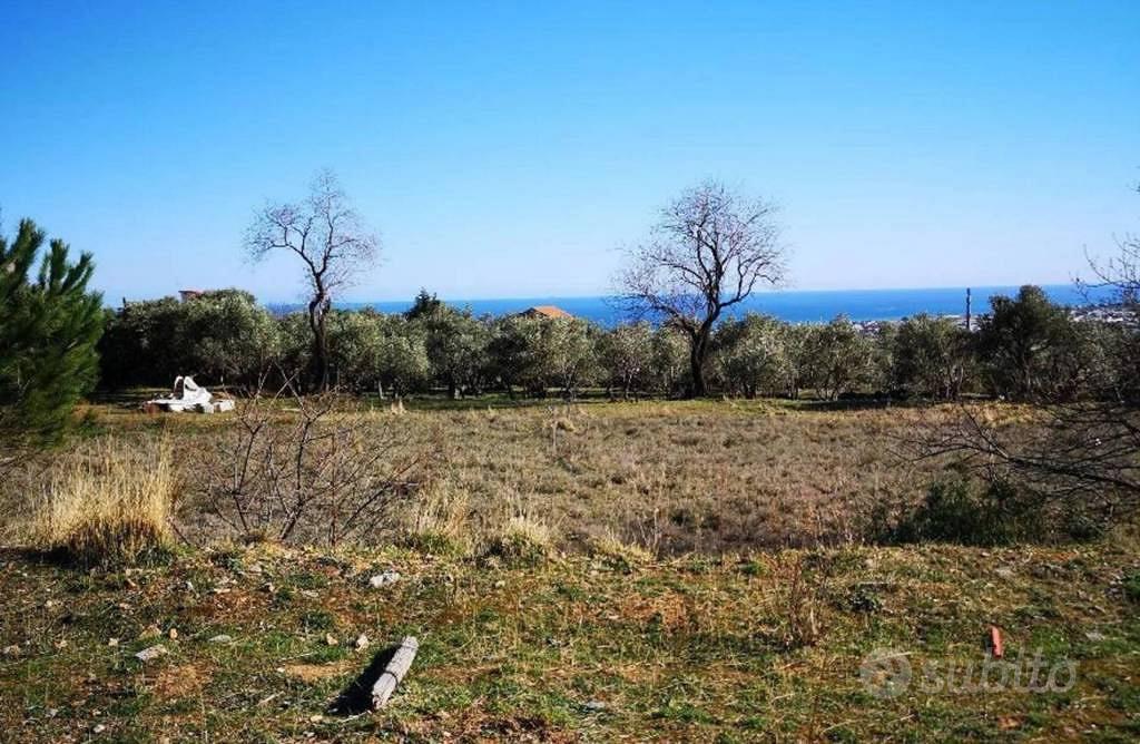 Immobile in asta di 7080 m² a Ceriale - Altro