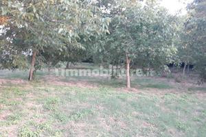 Terreno agricolo pianeggiante