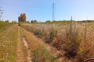 Terreno agricolo Villasor 