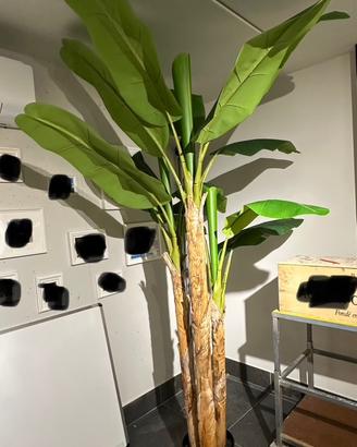 Pianta artificiale BANANO altezza 240