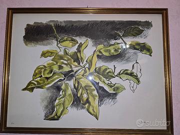Renato Guttuso "Foglie"