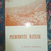 Piedimonte Matese di Dante B. Marrocco 1980