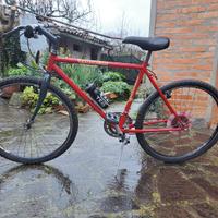 mountain bike uomo