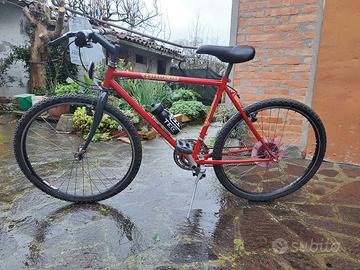 mountain bike uomo