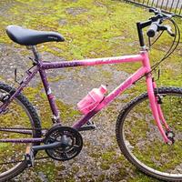 Mountain bike misura 26