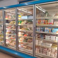 FREEZER MURALE 3 METRI CON MOTORE 
