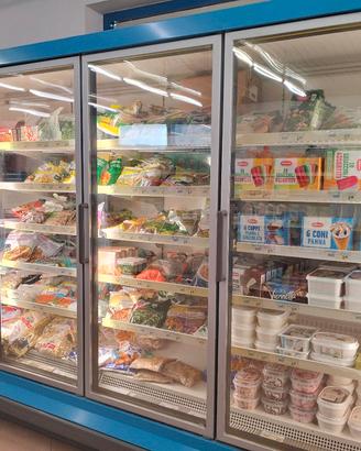 FREEZER MURALE 3 METRI CON MOTORE 