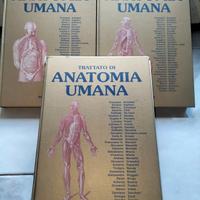 trattato di Anatomia Umana / 4 edizione