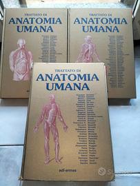 trattato di Anatomia Umana / 4 edizione