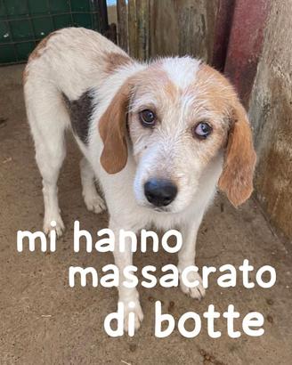 Gaspare 7 anni taglia media