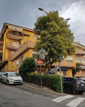 3 LOCALI A ALBANO LAZIALE