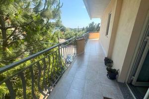 Rif.RI0491| appartamento trilocale