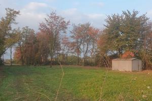 Terreno agricolo