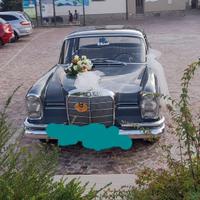 Auto mercedes 220b