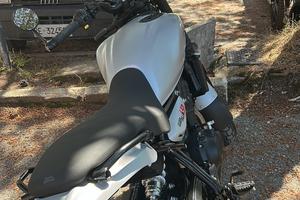 Guerilla 450