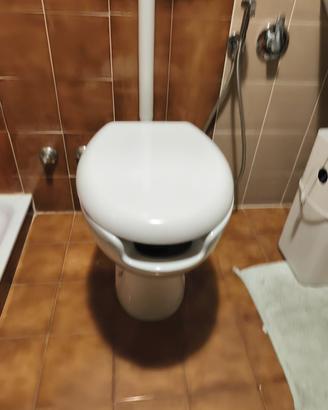 sanitario wc bagno per anziani, con seduta