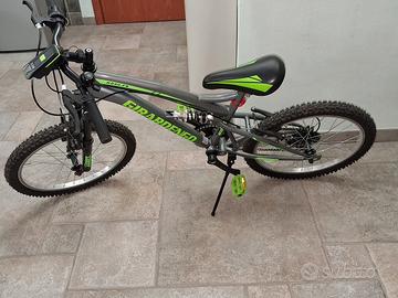 bicicletta