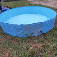 Piscina per cani