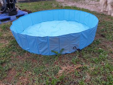 Piscina per cani