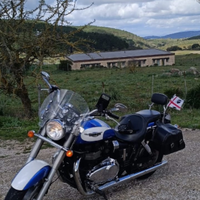 Triumph america 2011