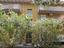 Immagine 28