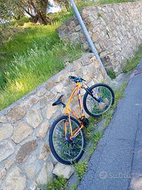 mtb bici