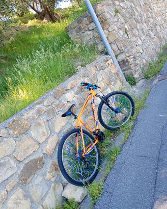 mtb bici