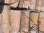 Immagine 1
