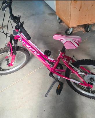 MTB Montana