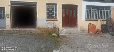 Vendita magazzino zumaglia