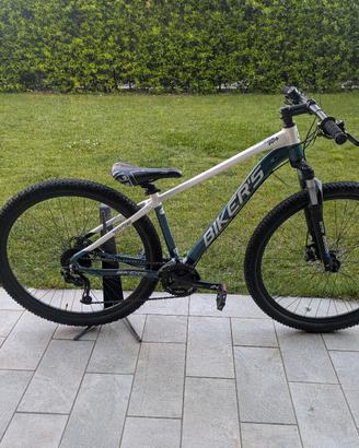 mauntain bike (bikers) 29