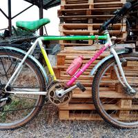 bicicletta Mountain bike Girardengo 