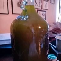 Olio EVO Raccolta 2025 