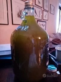 Olio EVO Raccolta 2025 