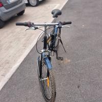 bicicletta 24 pollici 